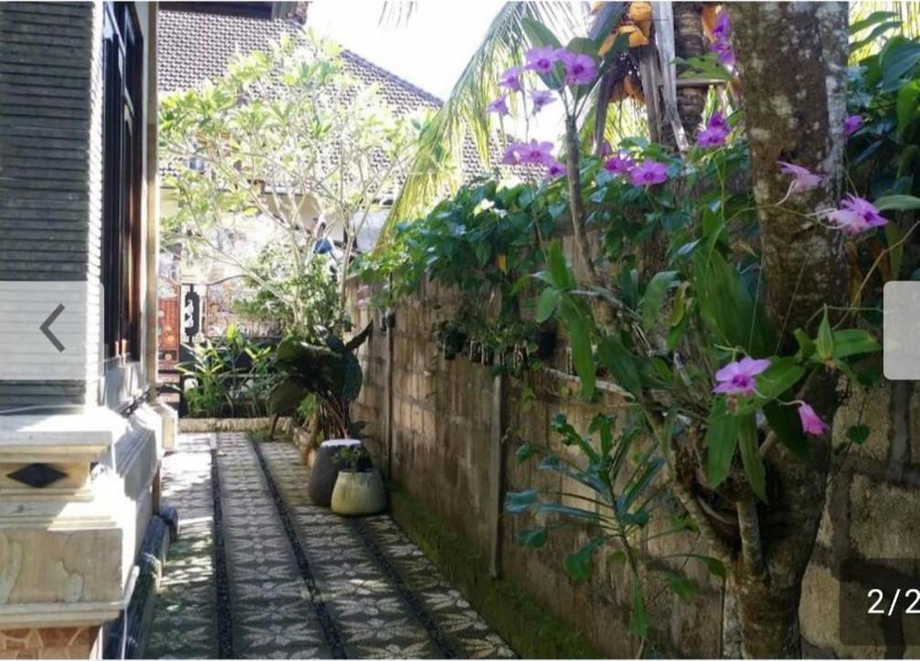 Kuwera Homestay Batununggul Zewnętrze zdjęcie